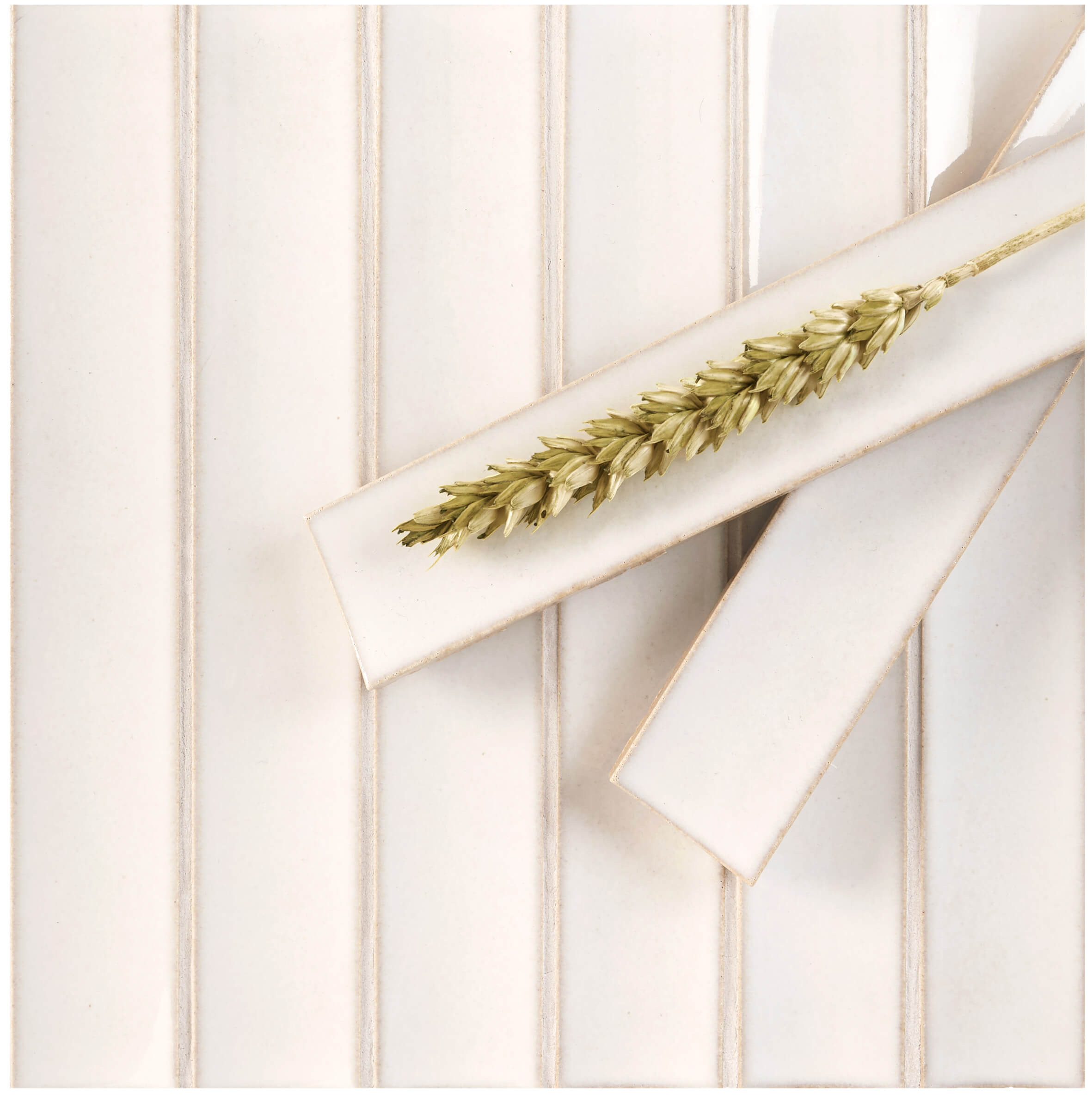 BAMBOO