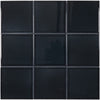 Blue Black